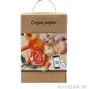 Blumen aus Krepppapier Lernset mit viel Zubehör