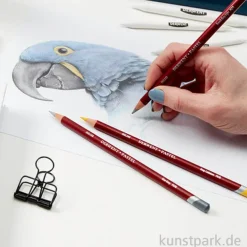 Derwent PASTELS, 12 Pastellstifte im Metalletui