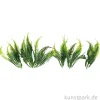 Mini Farn, 7 cm, 6 Stück