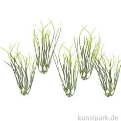 Mini Gräser, 9 cm, 5 Stück