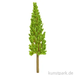 Miniatur Zypresse, ca. 14 cm